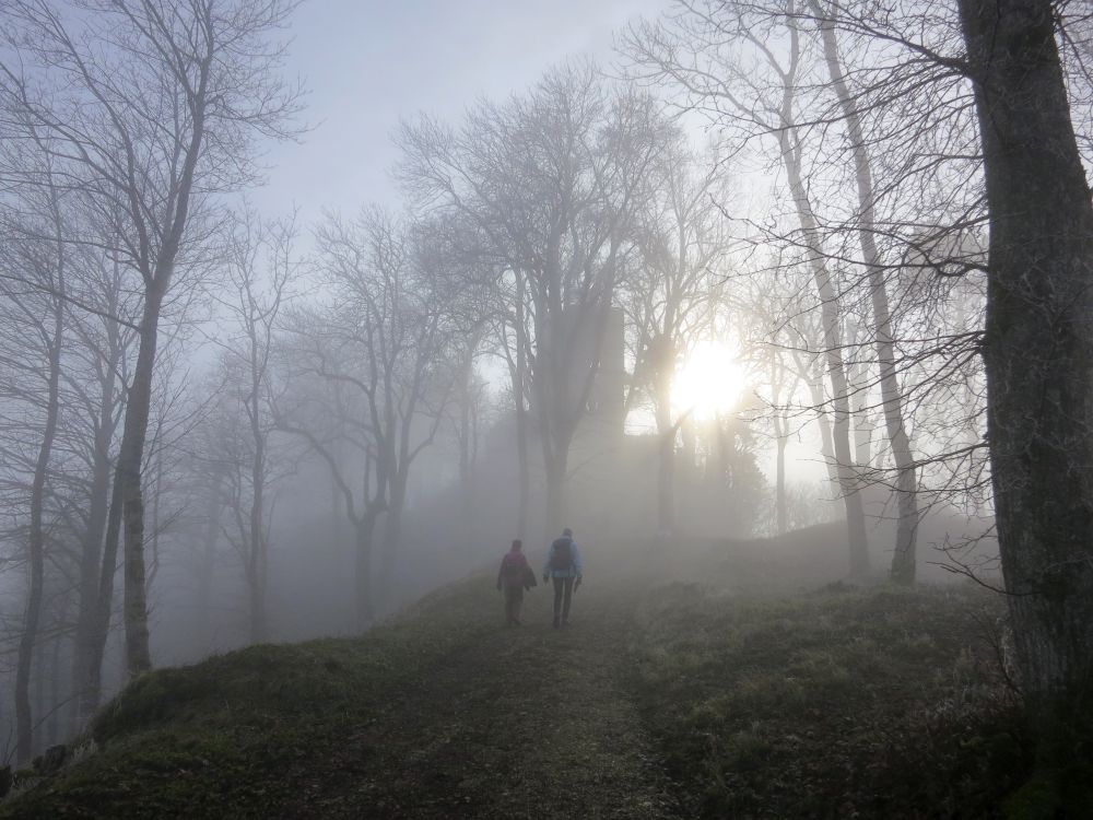 Nebel am Hohenhewen