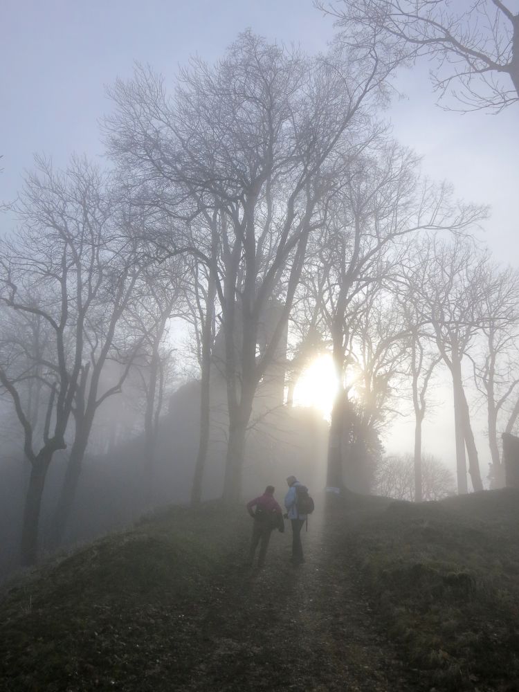 Nebel am Hohenhewen