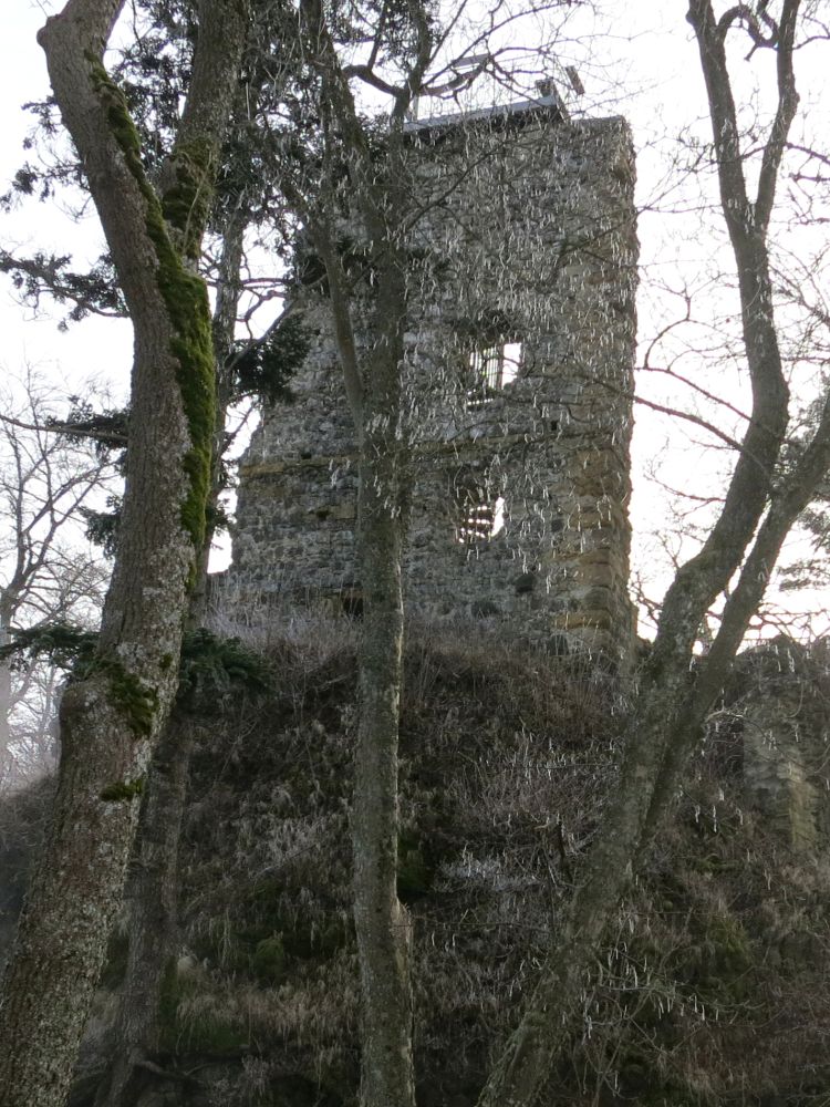 Ruine Hohenhewen