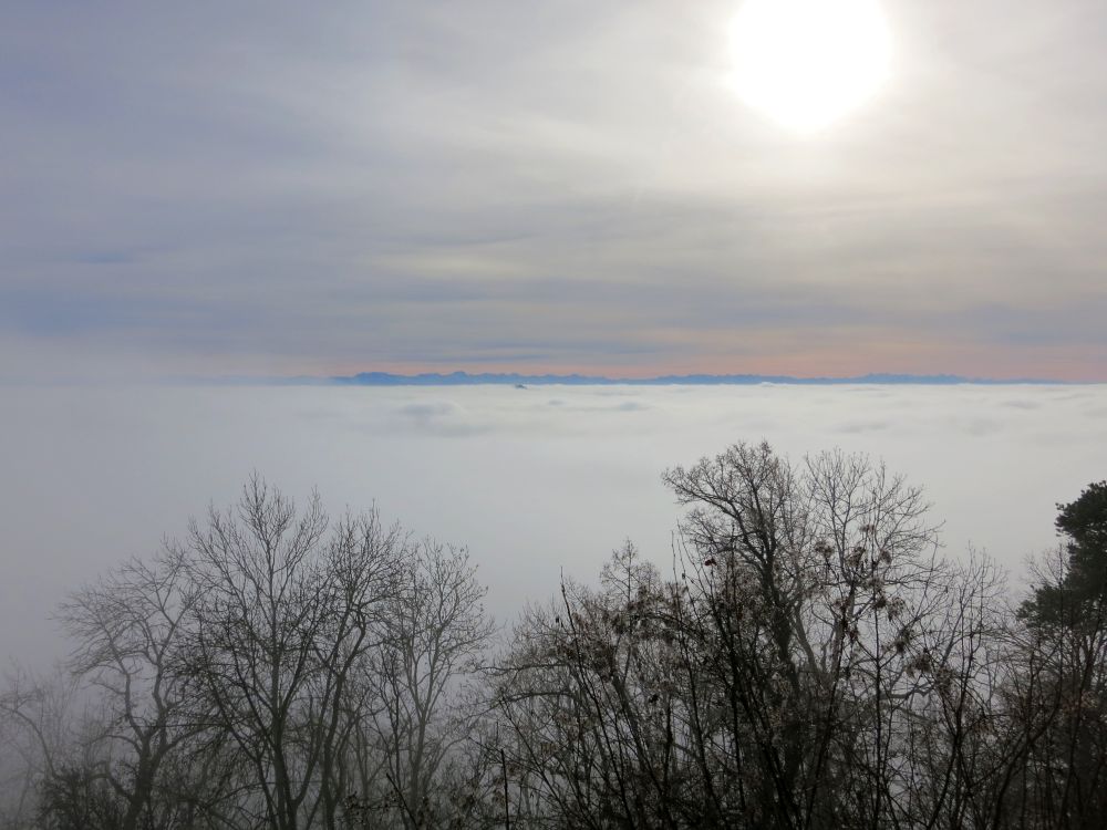 Alpenblick berm Nebel