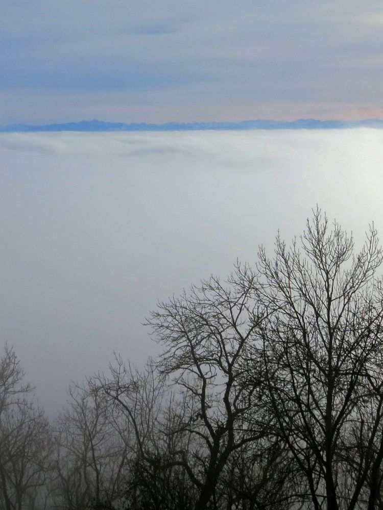 Alpenblick berm Nebel