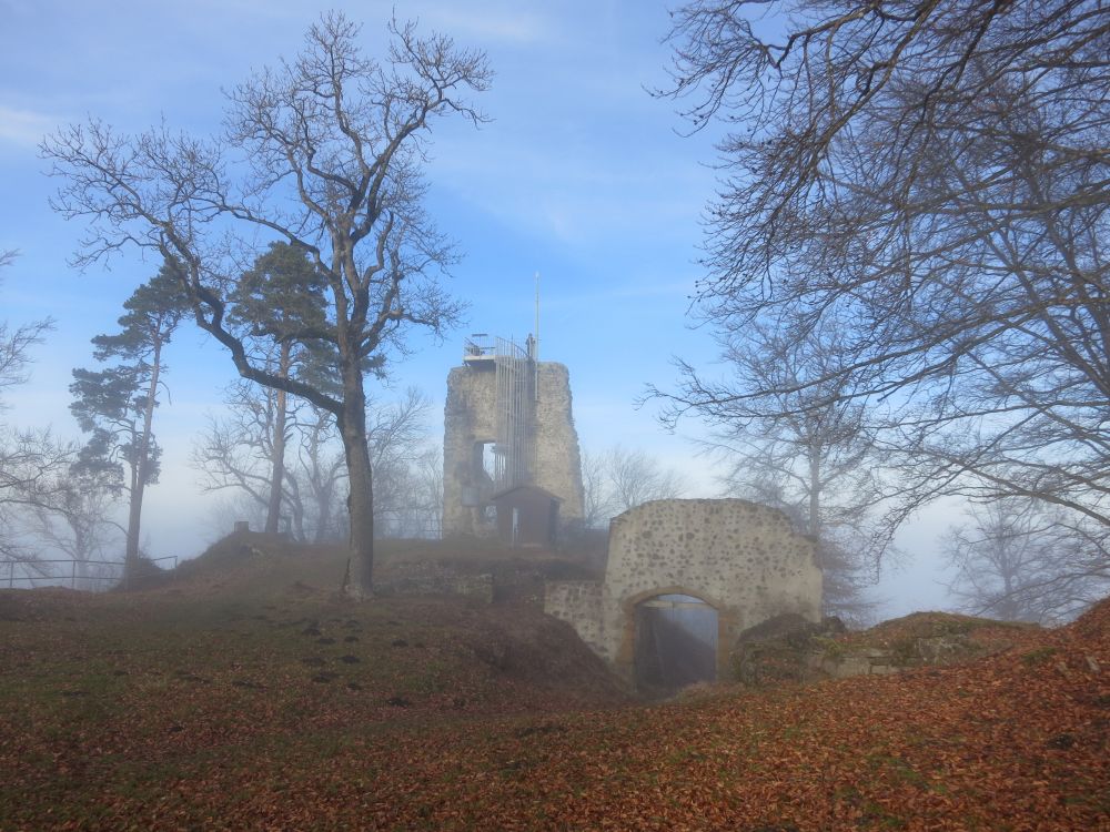 Ruine Hohenhewen