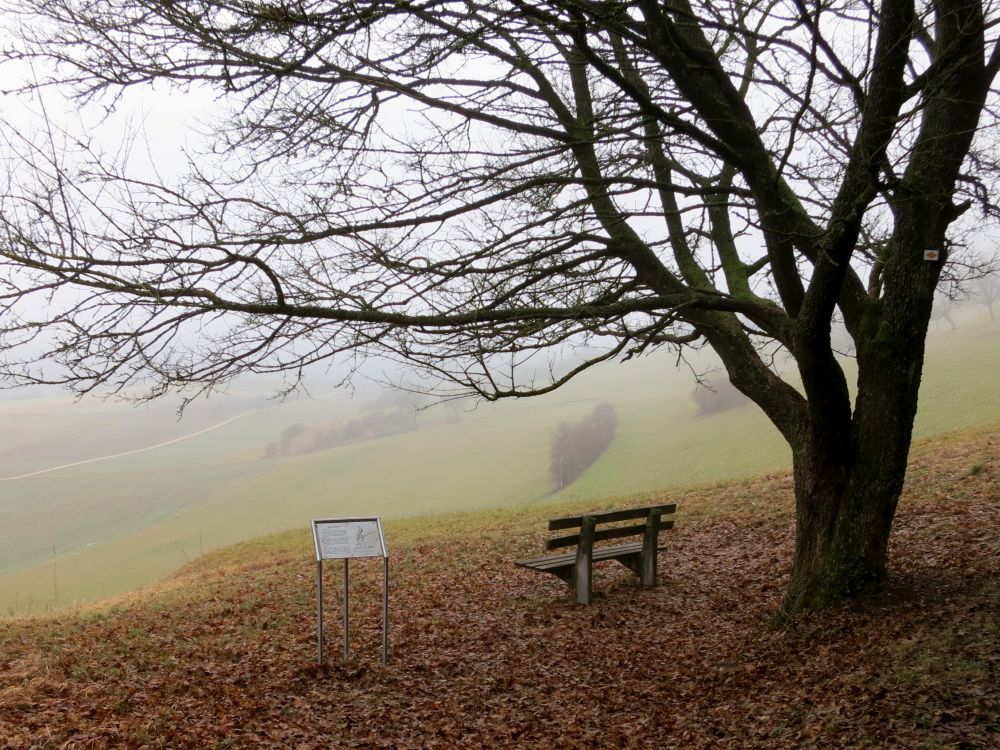 Aussichtspunkt am Hagenweg