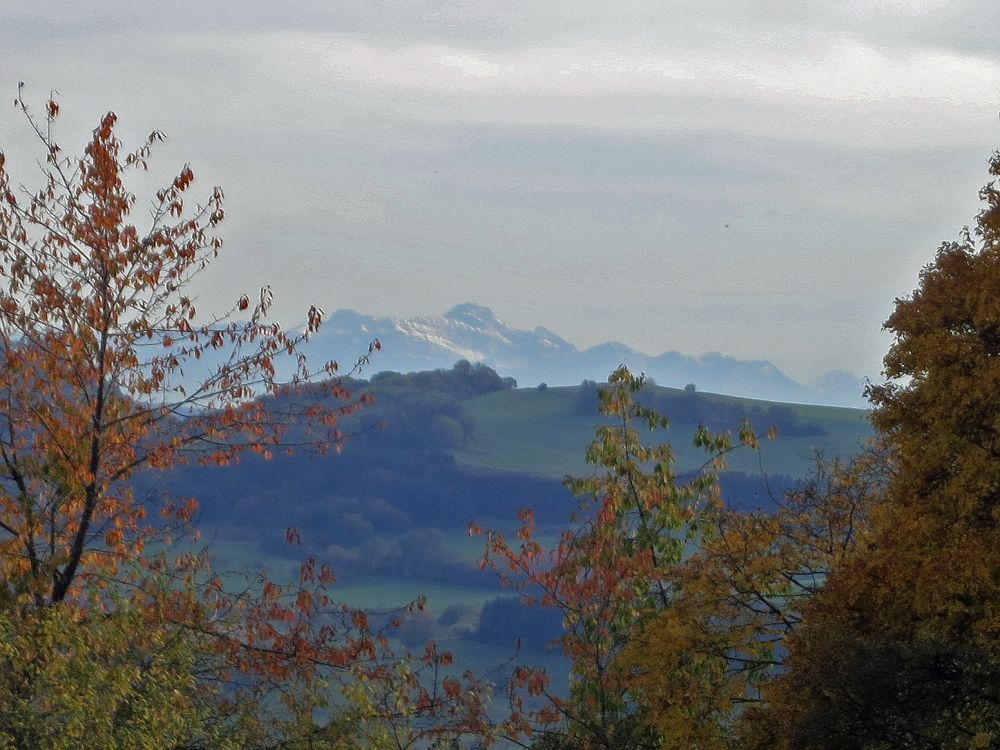Säntis