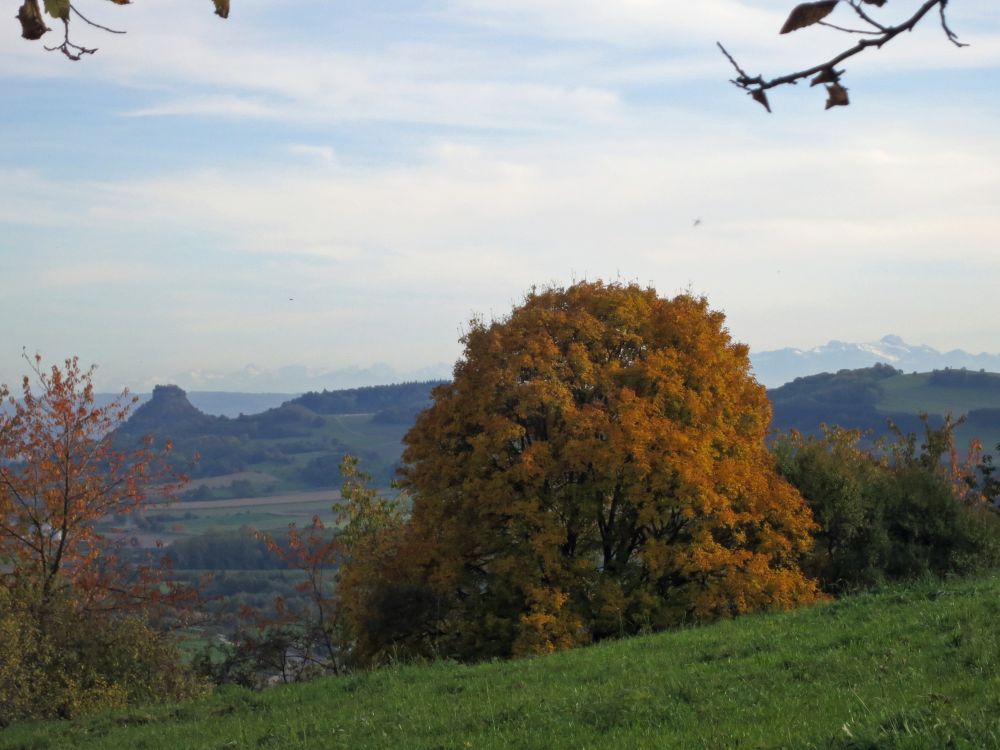 Hohenkrähen