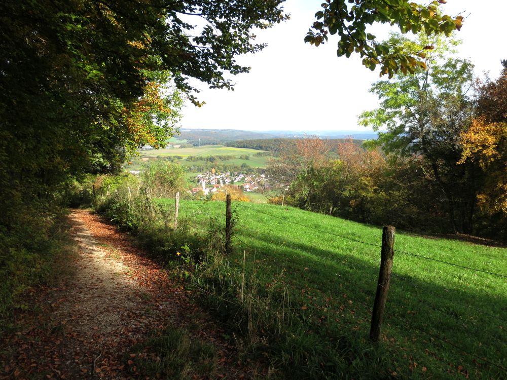 Weg am Waldrand