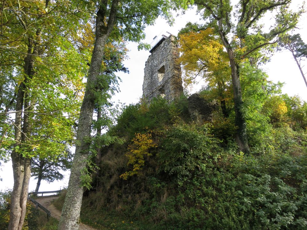 Ruine Hohenhewen