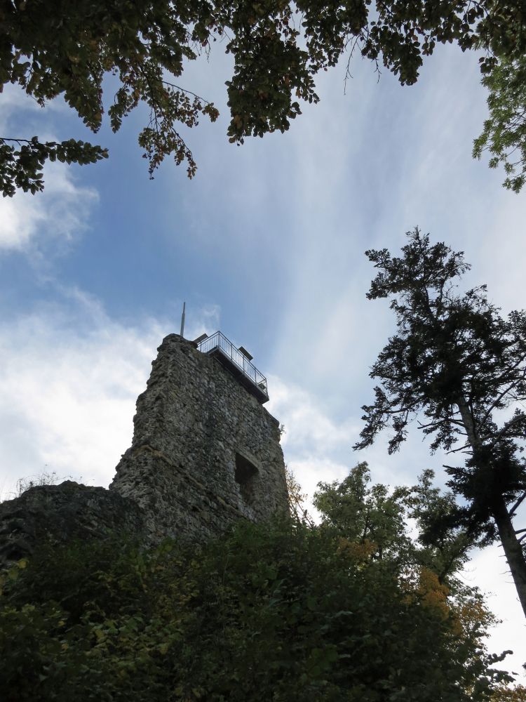 Ruine Hohenhewen