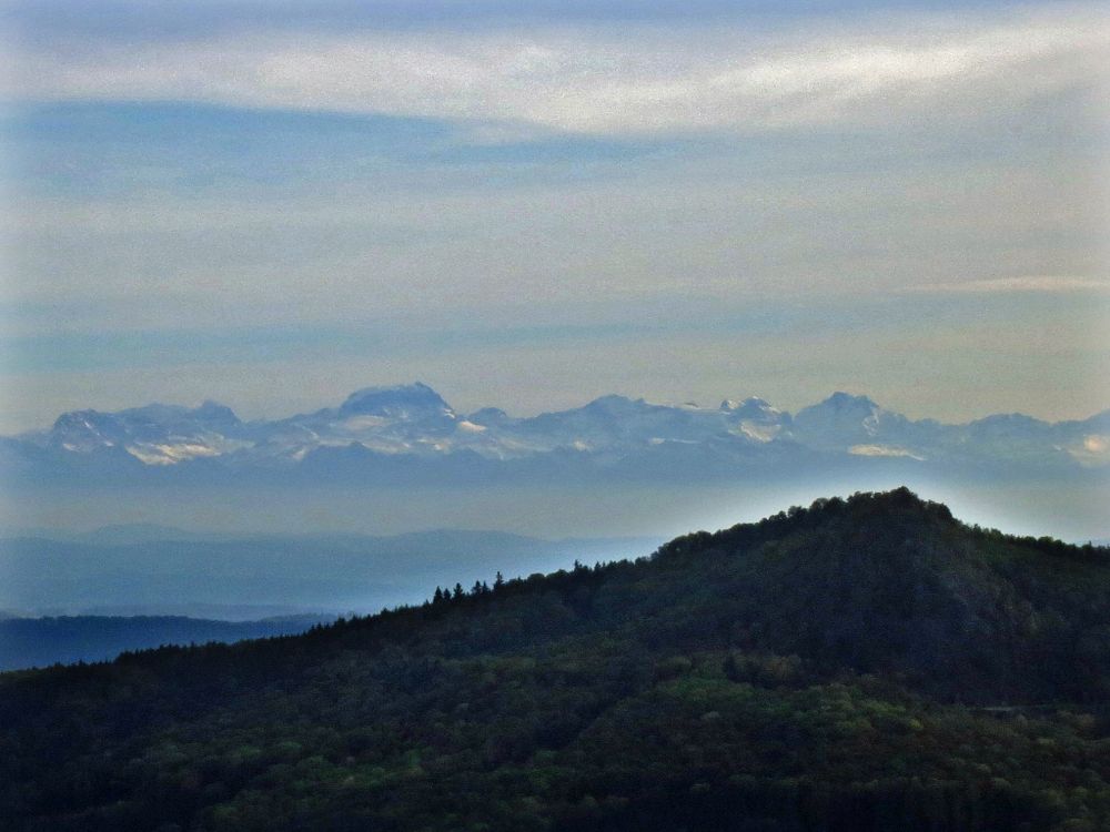 Alpen und Hohenstoffeln