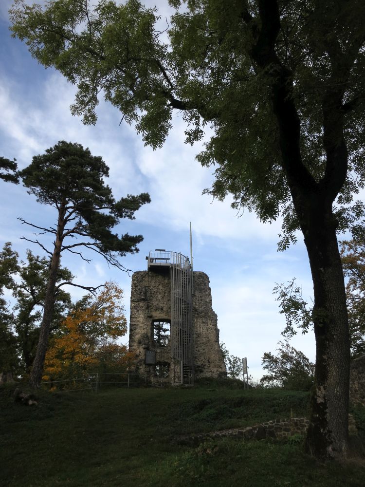 Ruine Hohenhewen