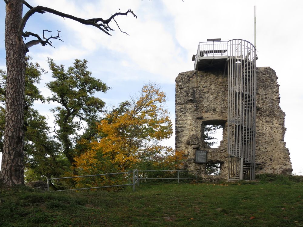 Ruine Hohenhewen