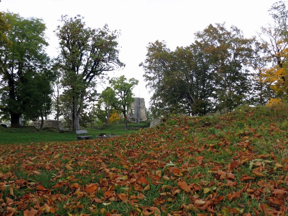 Ruine Hohenhewen