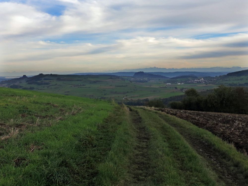 Blick Richtung Hohentwiel