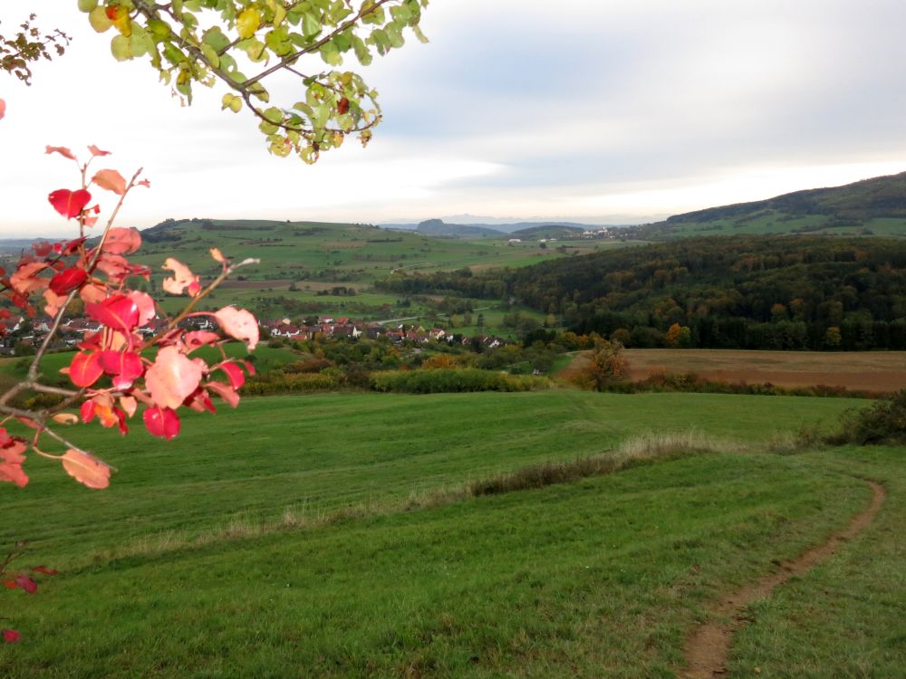 Blick Richtung Welschingen