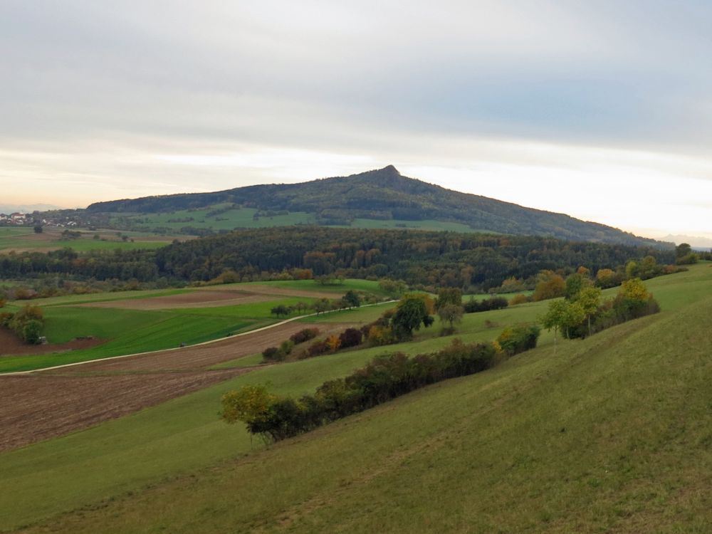 Hohenstoffeln