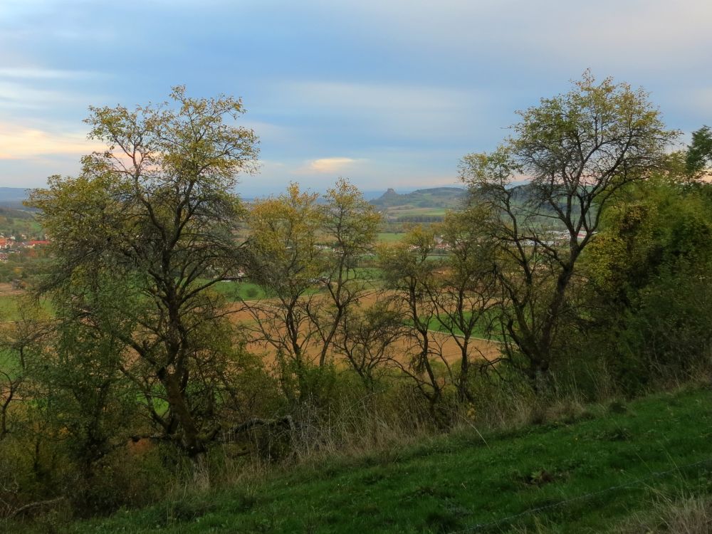 Blick Richtung Hohenkrähen