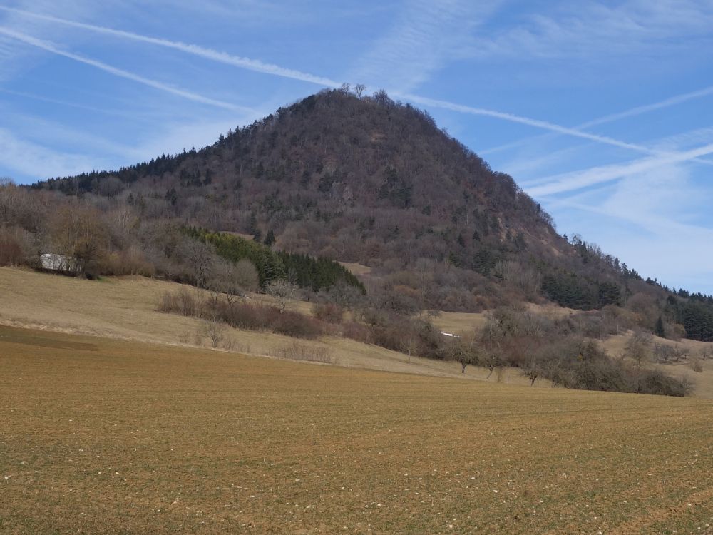 Hohenhewen