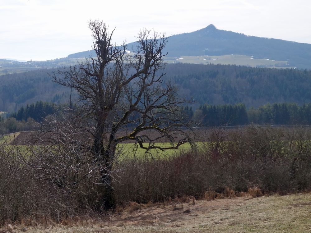 Blick zum Hohenstoffeln