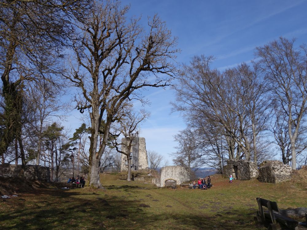 Burgruine Hohenhewen