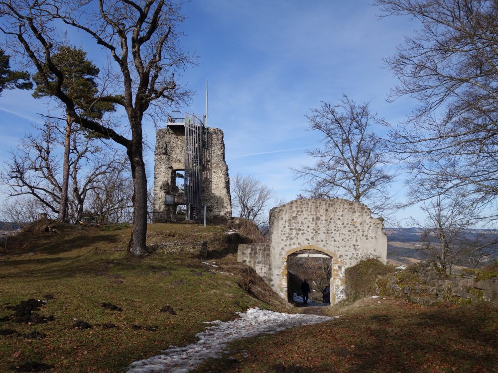 Eingangstor und Aussichtsturm Hohenhewen