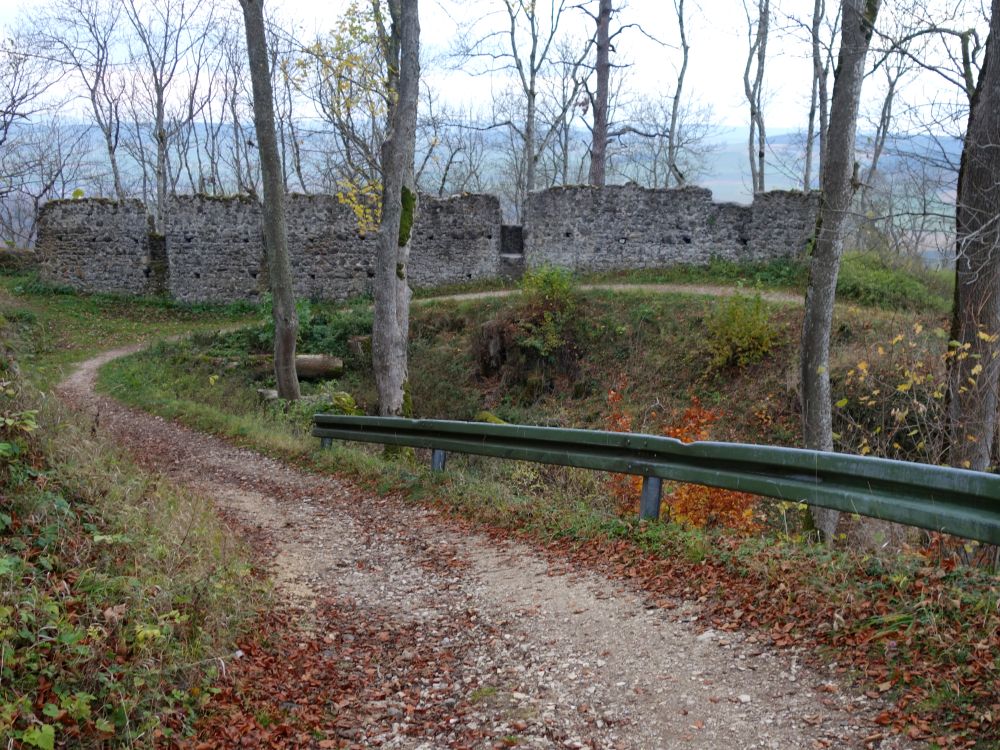 Mauer am Hohenhewen