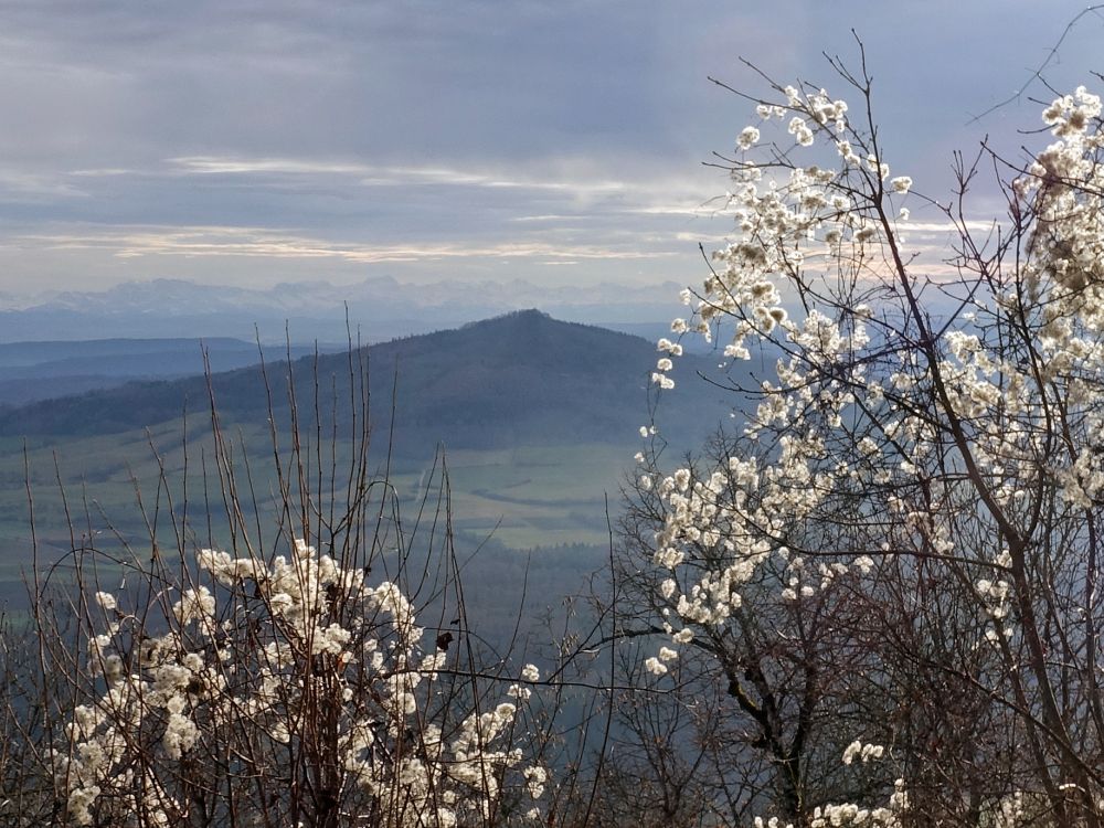 Blick zum Hohenstoffeln