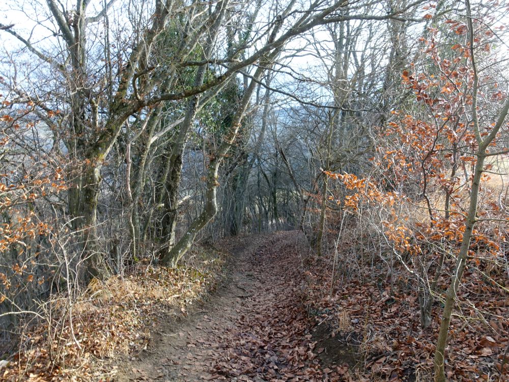 Wanderweg