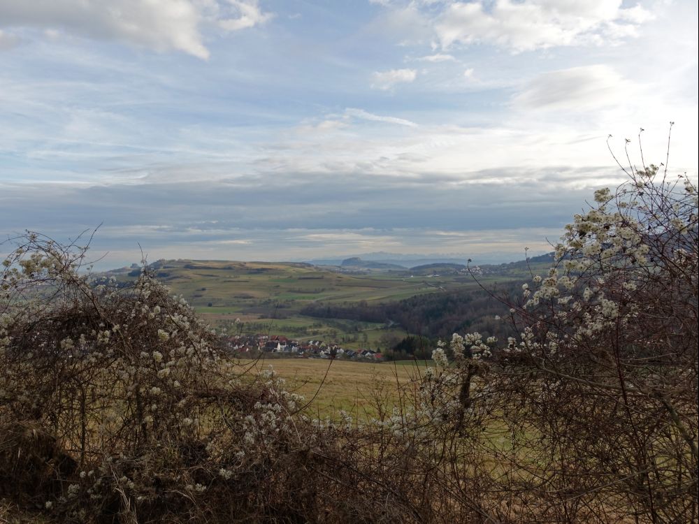 Hohentwiel und Säntis