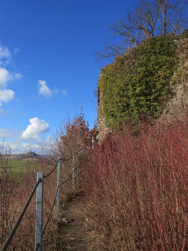 Blick Richtung Mägdeberg