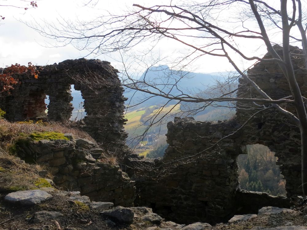 Blick Richtung Hohentwiel