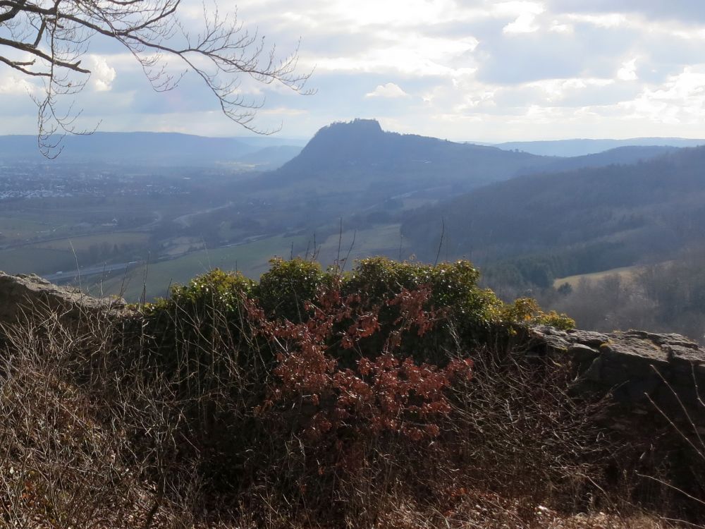 Blick Richtung Hohentwiel