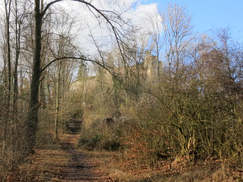 Waldweg zum Mägdeberg