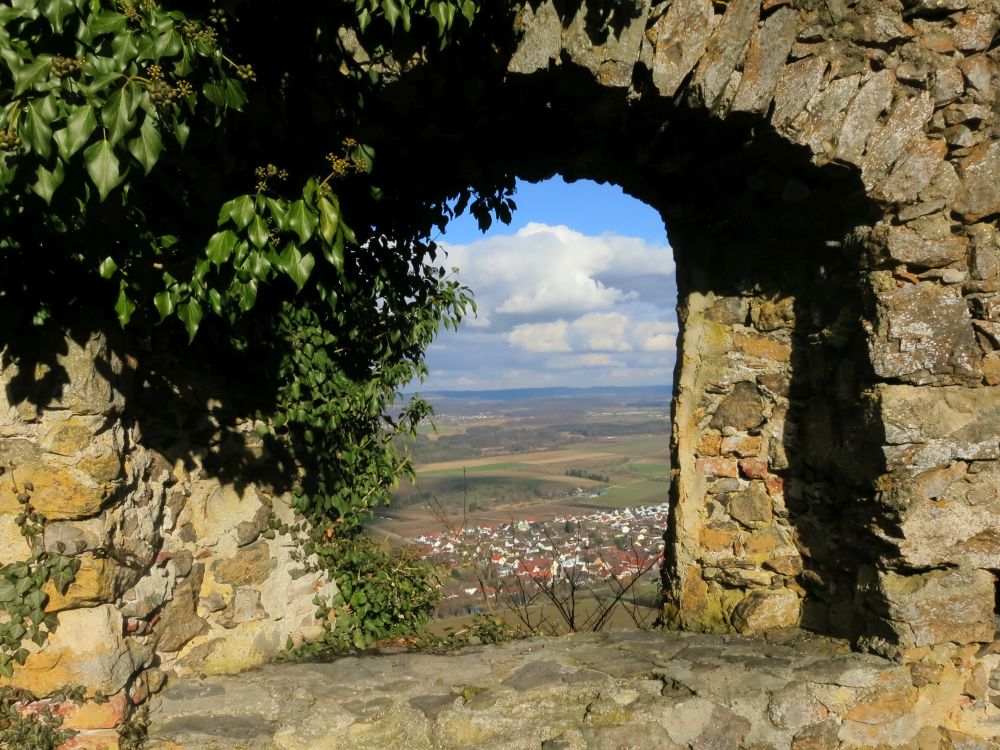 Blick auf Mühlhausen