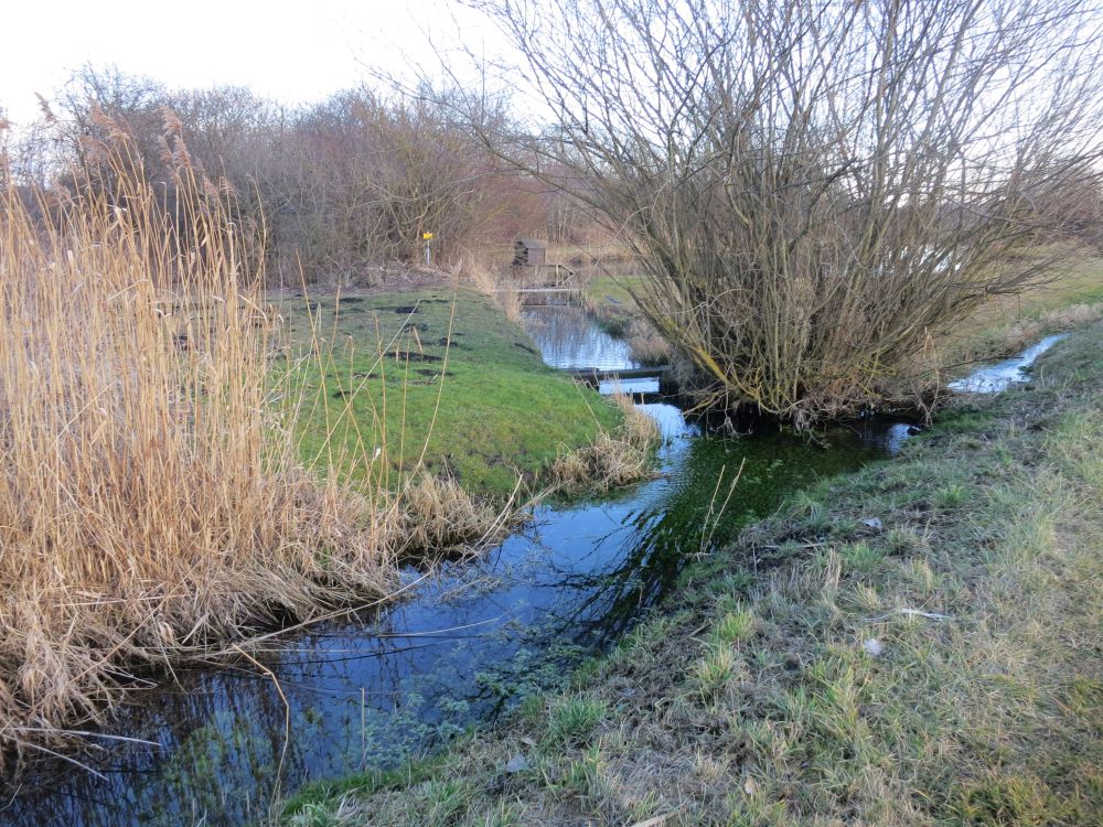 Naturschutzgebiet Ried