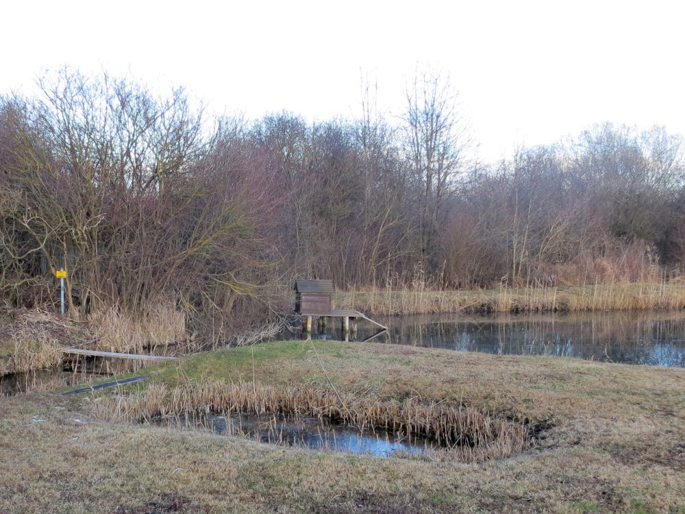 Naturschutzgebiet Ried