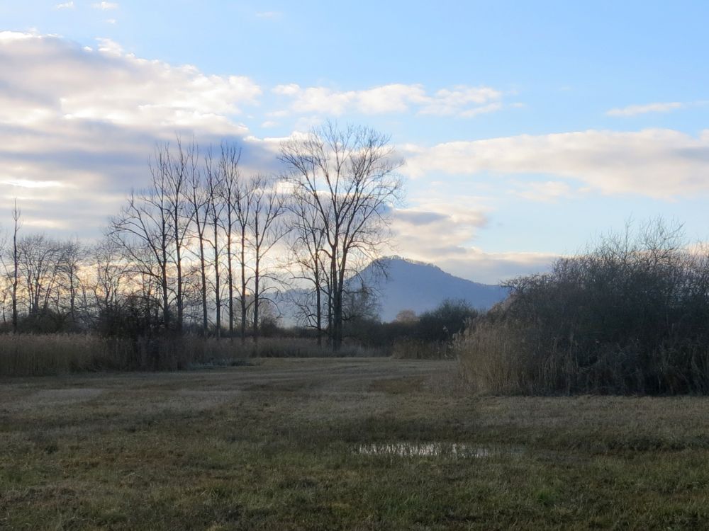 Blick Richtung Hohenhewen