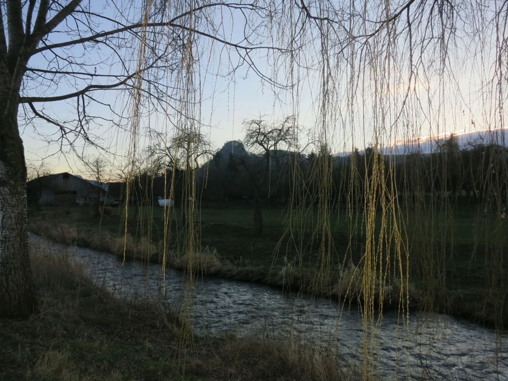 Hohenkrähen und Saubach