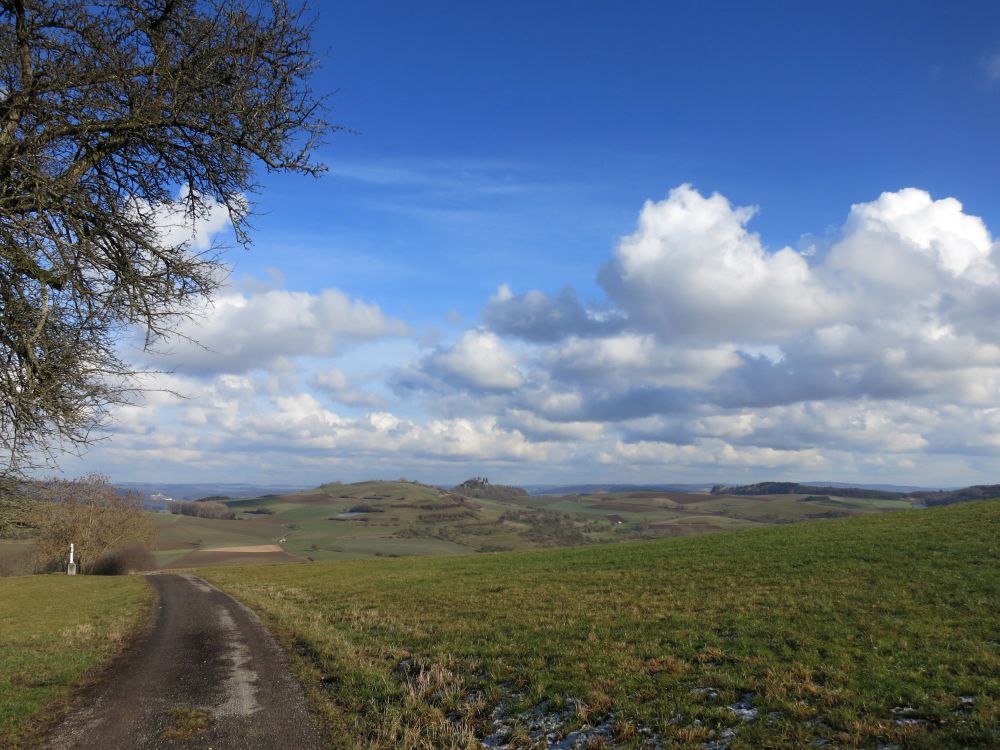 Blick Richtung Mgdeberg