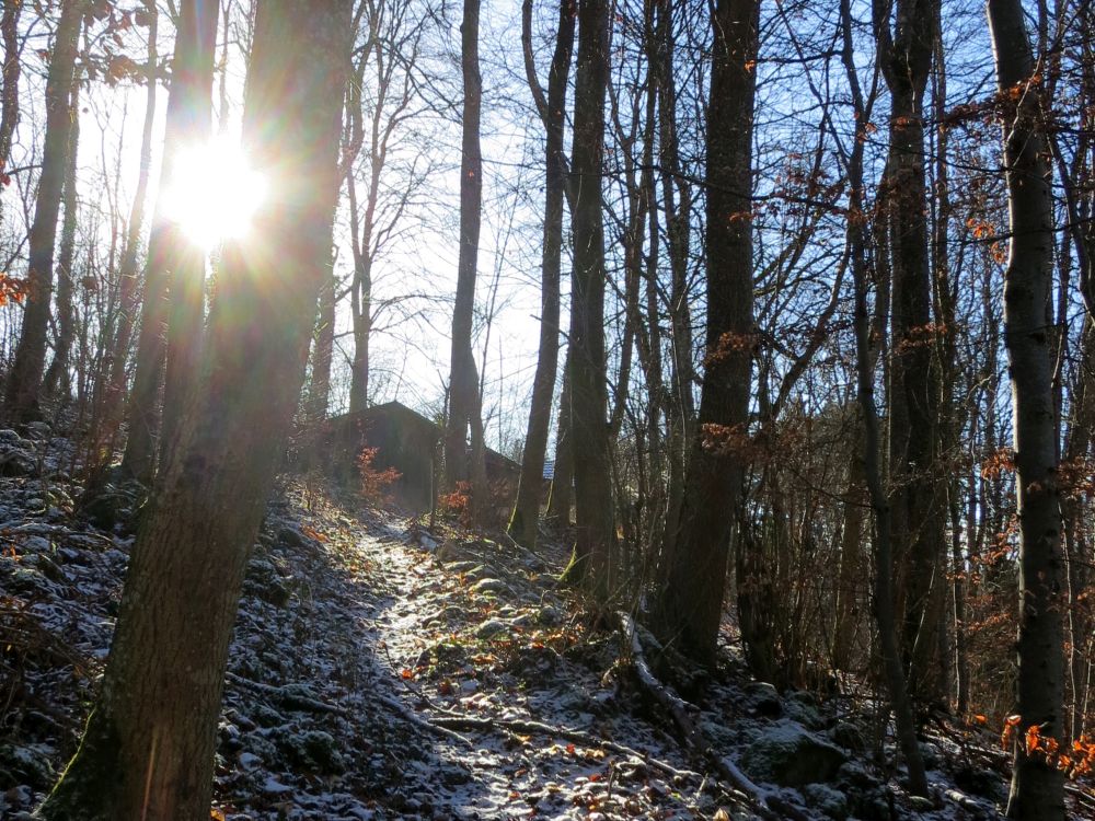 Gegenlicht beim Jagdhaus