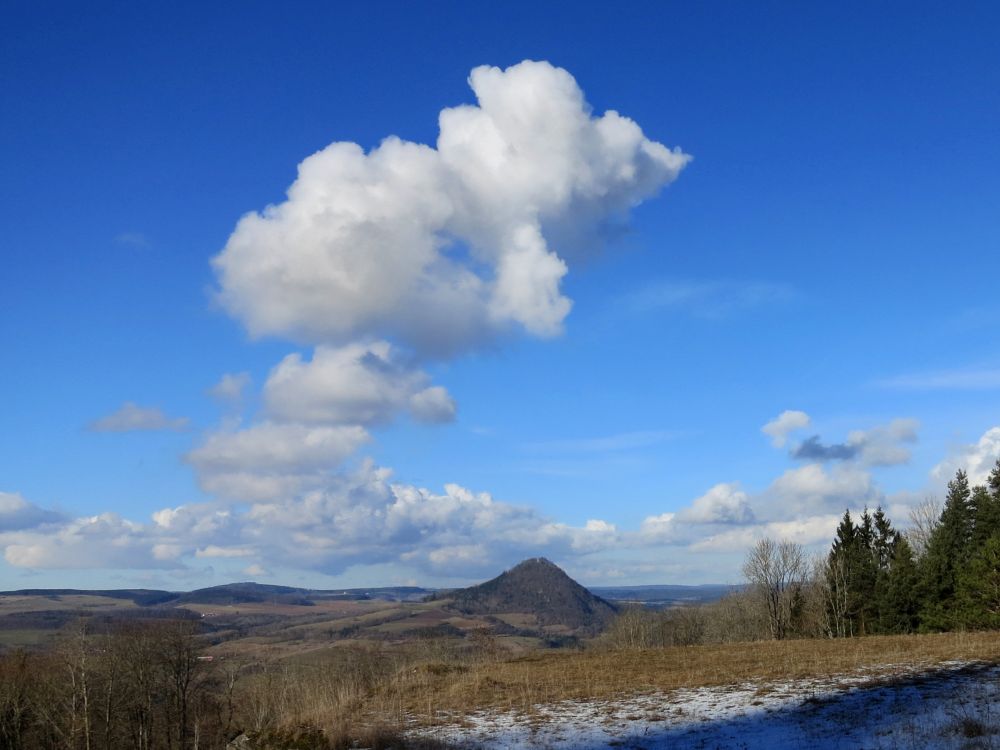 Blick zum Hohenhewen