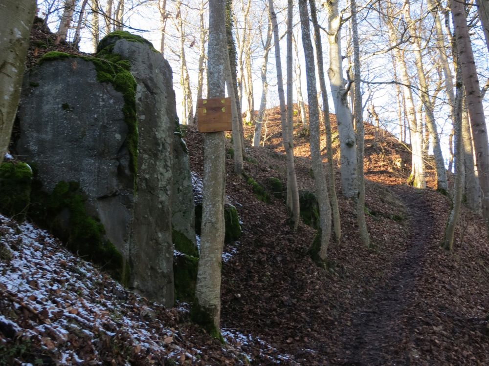 Aufstieg zum Hohenstoffeln