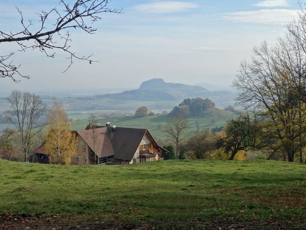 Sennhof und Hohentwiel