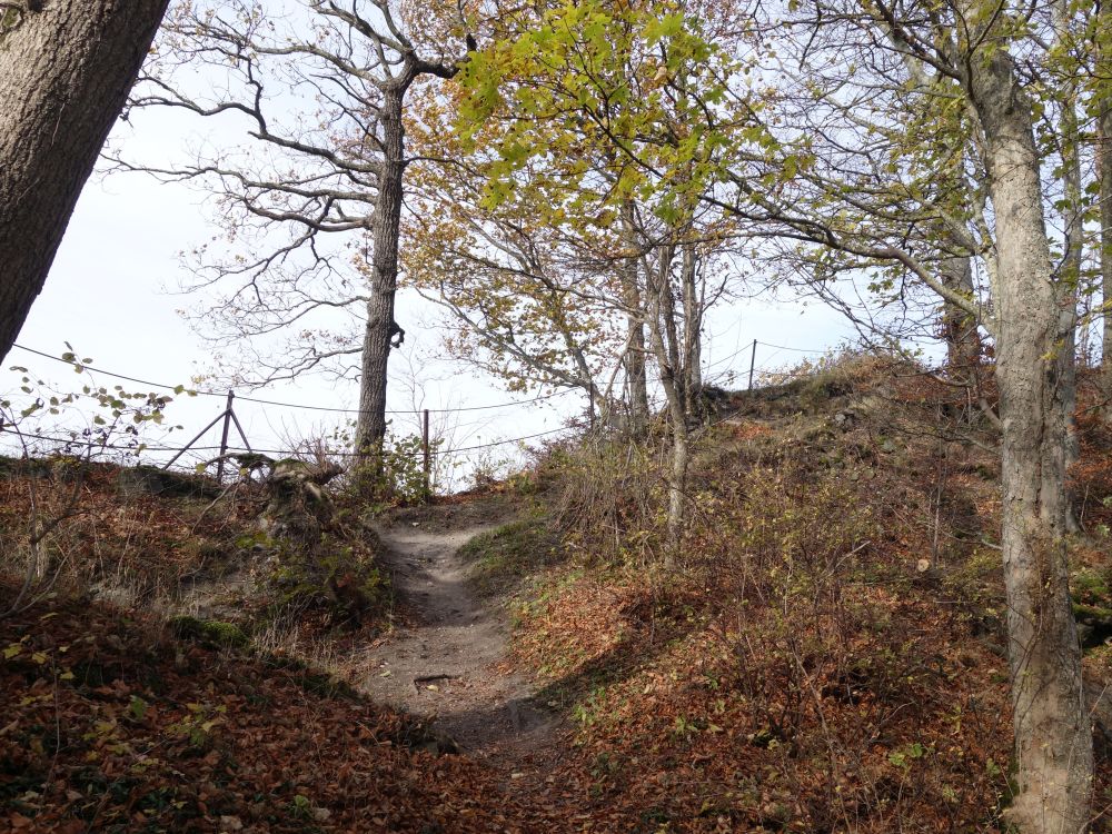 Drahtseil am Hohenstoffel