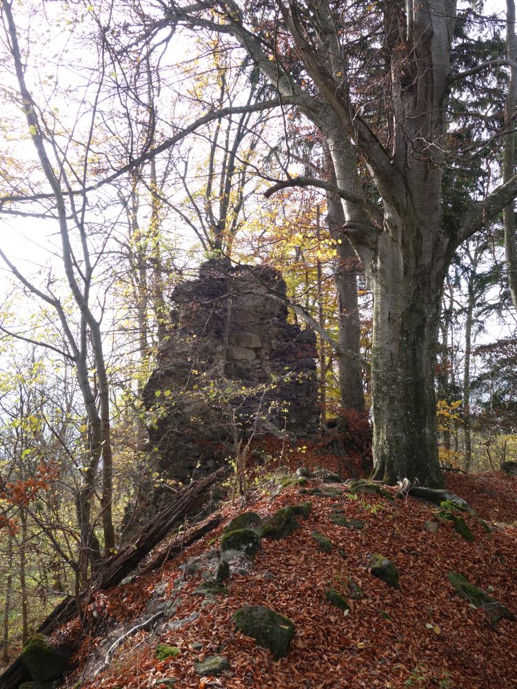 Ruine Hinterstoffeln