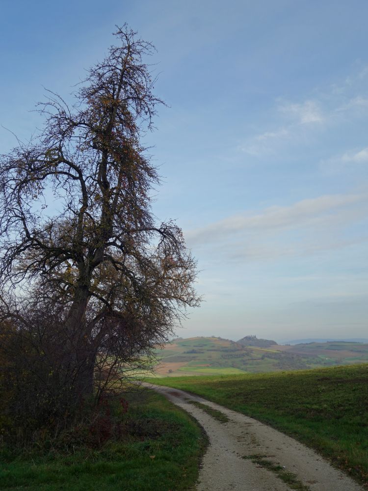 Blick zum Mägdeberg