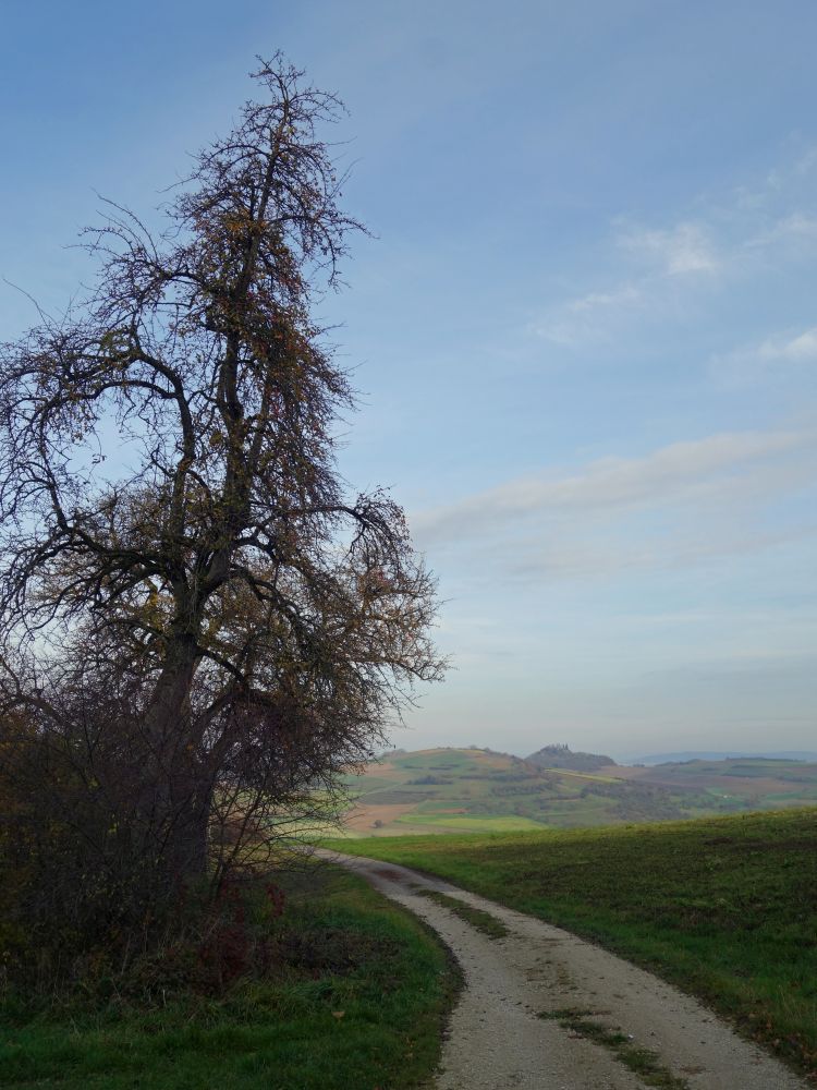 Blick zum Mgdeberg