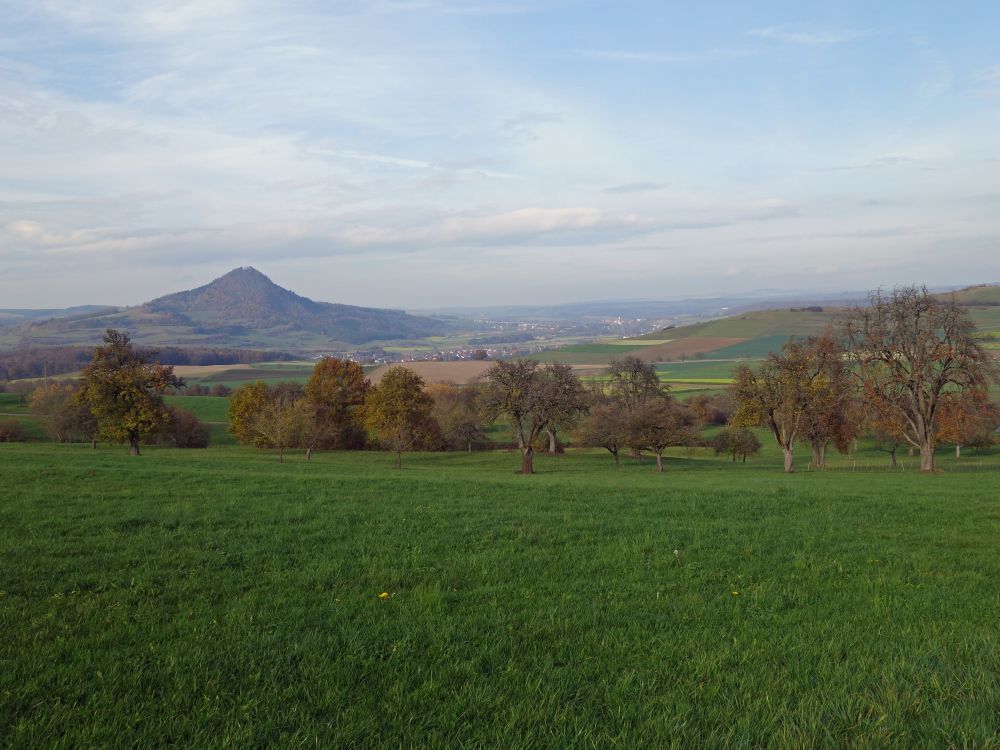 Hohenhewen