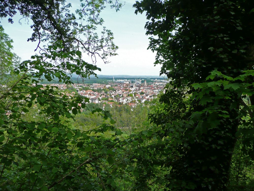 Blick auf Singen