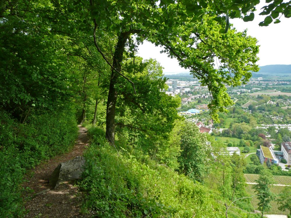 Pfad mit Blick auf Singen