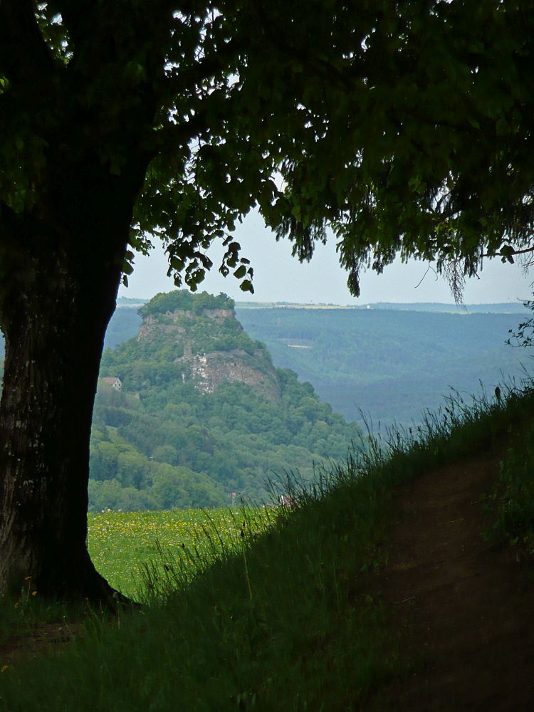 Blick zum Hohenkrähen